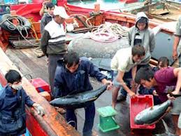 ກອງປະຊຸມເພີ່ມທະວີການຮັບປະກັນຄວາມປອດໄພໃນການຫາປາໄກຝັ່ງ